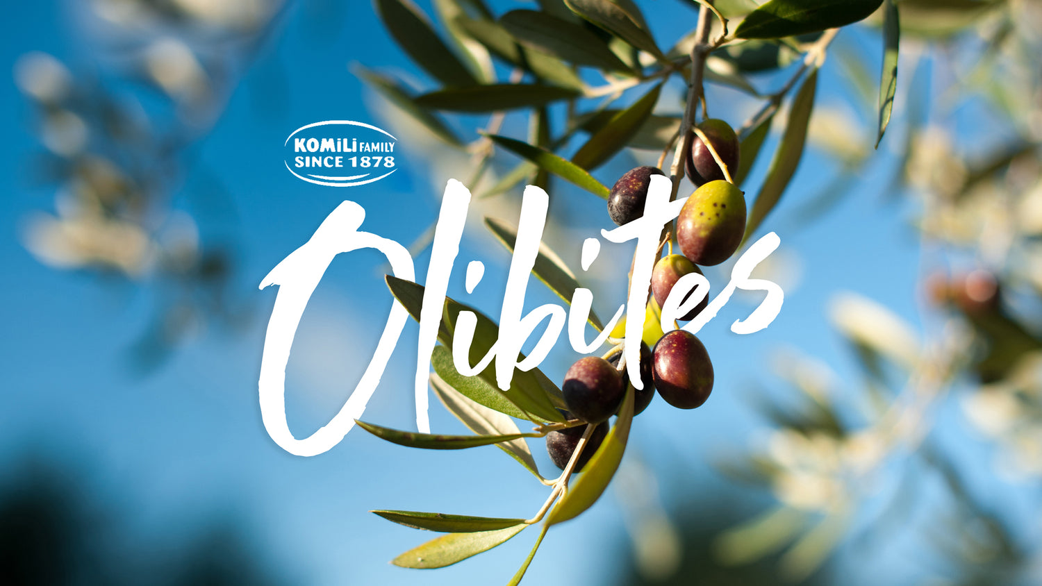 About-Us – Olibites